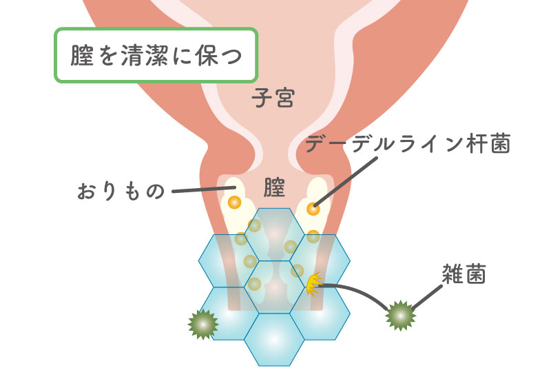 おりものの量や色、においが変化！？これって病気？おりものの状態から症状をセルフチェック！ | ネオクリニック